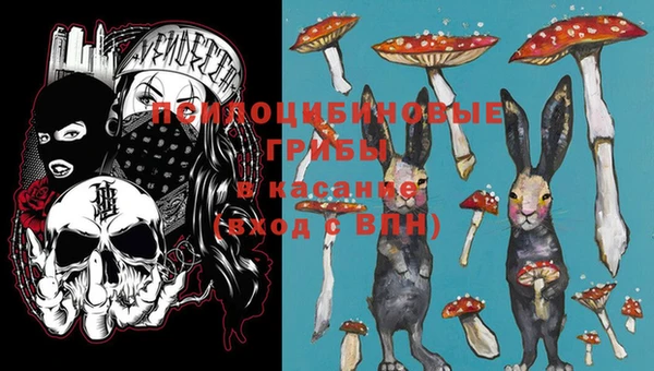 PSILOCYBIN Верхнеуральск