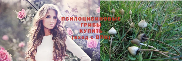 спиды Верея