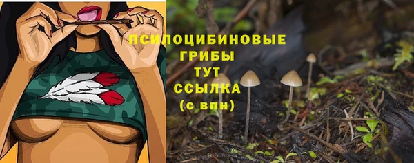 MDMA Premium VHQ Верхний Тагил